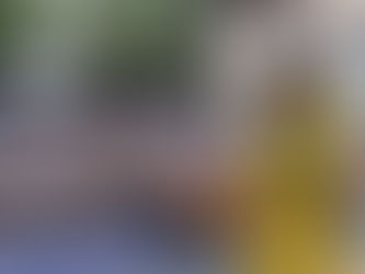 Carnaval: Frevo na Fobica vai agitar a Praça Pedro Sanches