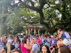 Desfile de blocos começa no sábado; veja programação
