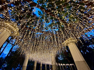 Natal Poços de Luz segue até este domingo em Poços de Caldas