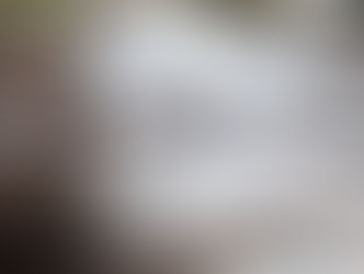 CITUR irá administrar atividade turística da Cascata das Antas