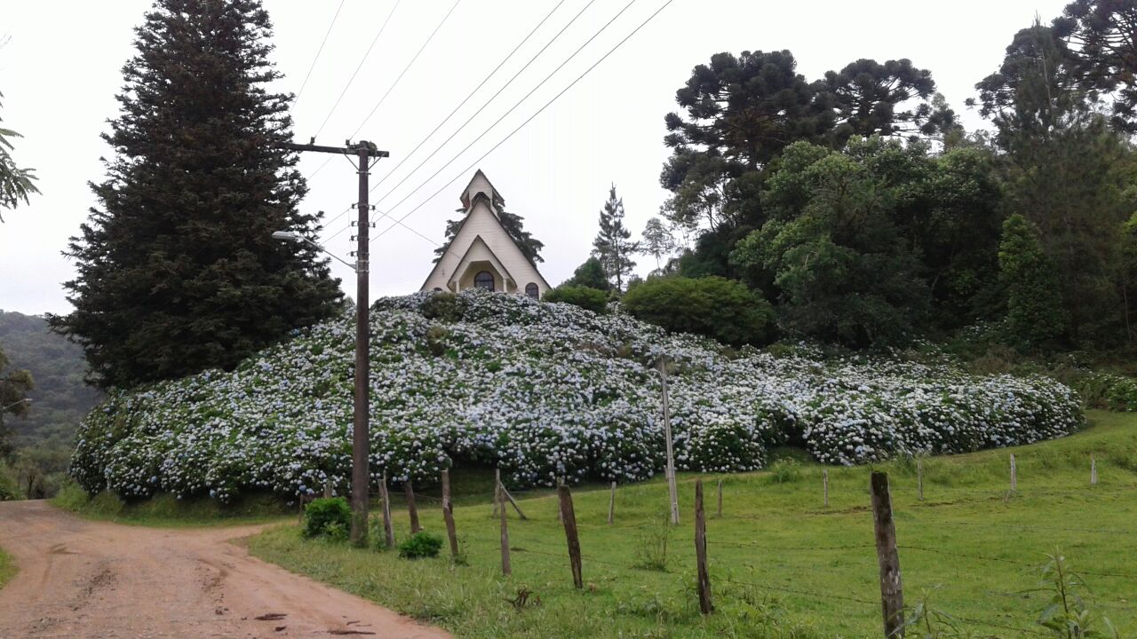 Rio do Julio e Rota das Hortênsias