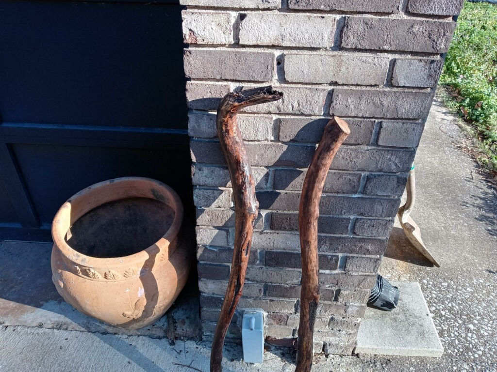 Walking Sticks - A10
