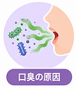口臭の原因.png