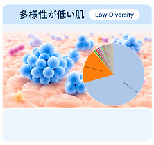 多様性が低い肌