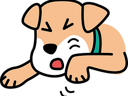 前脚で口の周辺を触る