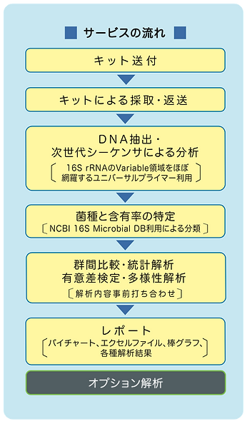 サービスの流れ2023.png