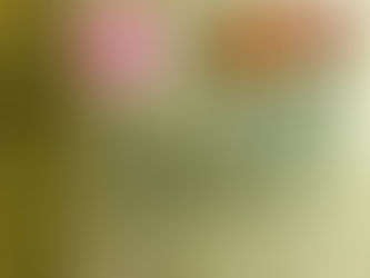 Nun sind sie alle da...