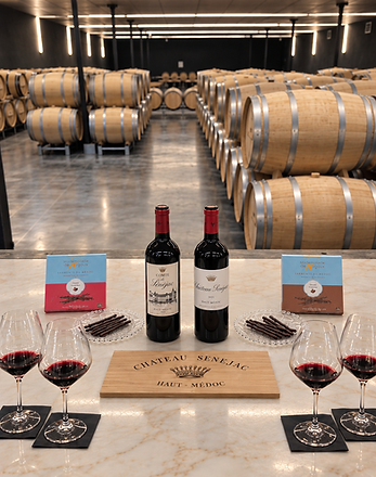 Dégustation de vin au chai.png