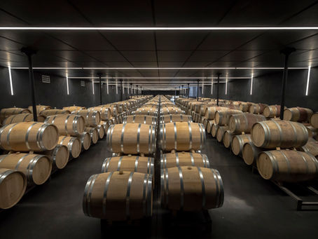 Sénéjac 2010, un Haut-Médoc riche et équilibré à boire maintenant