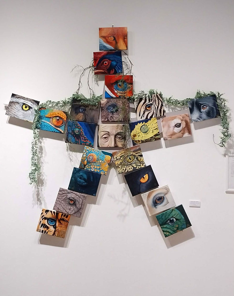 A captivating art installation featuring a star formation of diverse and vividly painted eyes, framed by cascading greenery, creating a dynamic focal point on the gallery wall.