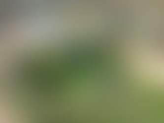 brand new outdoor gym equipment at the red shoot camping park