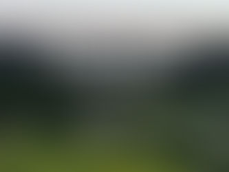 Wildfire Update