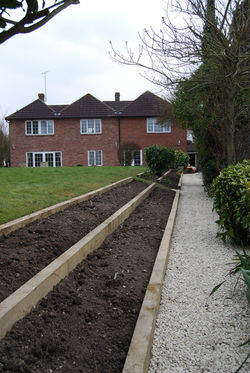 Softwood sleeper terracing