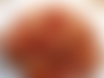 קוביות חלבון סויה, עם בצלים, גזרים, פטריות, פלפלים וזיתים, ברוטב עגבניות עשיר ובתערובת התבלינים "פילדלפיה" המעולה, על אורז בסמטי נקי, שסופג אליו בתאווה את המיצים של התבשיל המעולה הזה.