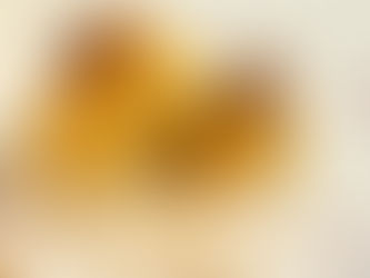 בצלים ממולאים בנתחי סויה ופטריות