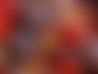 טופו ועניינים ברוטב מעושן