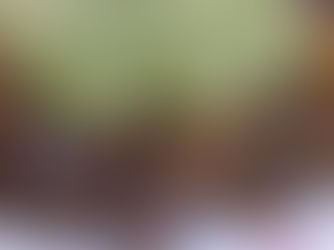 פטריות יער טריות, צלויות/מטוגנות עם רצועות בצל סגול ושפע תערובת תבלינים גסה ופיקנטית לאנטריקוט או ברביקיו, עטופות בשמיכה קרמית של זוקיני ובזיליקום שקודם בושלו באיטיות בחלב סויה ואז נטחנו יחד בבלנדר לקרם ריחני וקטיפתי, שמרגיע בנחמה מושלמת את כל מה שבוער בפטריות הצלויות...