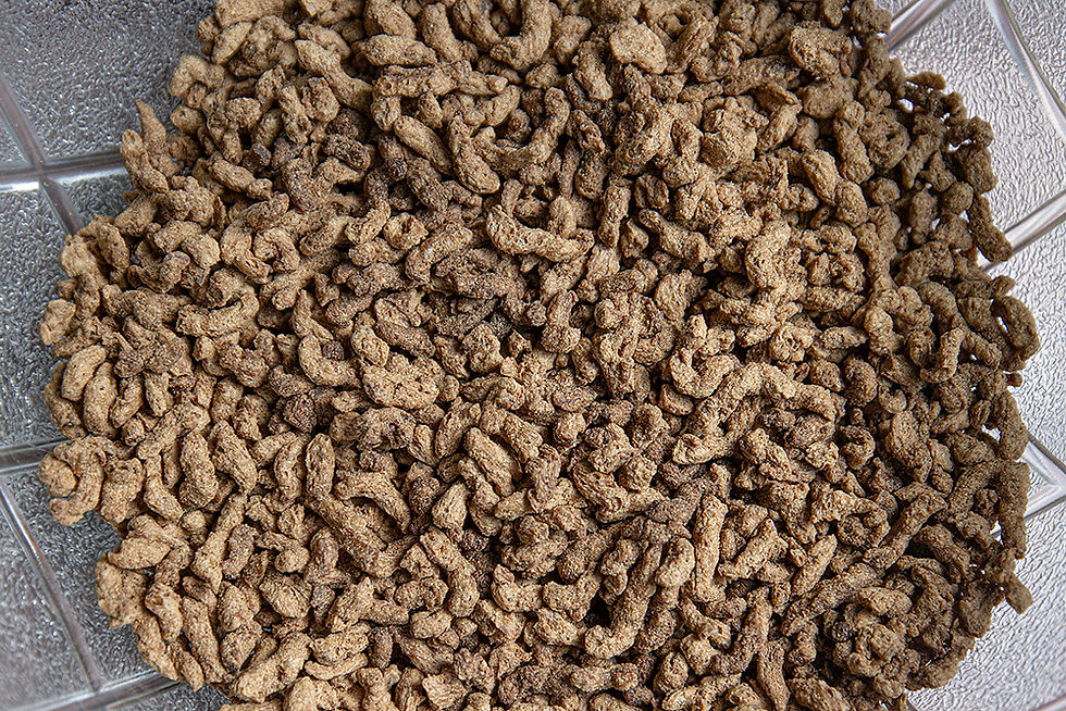 אקורדיון בולונז טבעוני - מתכון