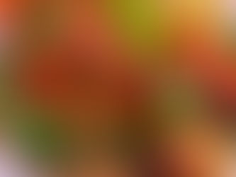 נתחי חלבון סויה צמודים חזק אל "קעריות" פלפלים אדומים מתוקים, אפויים היטב בתנור, ברטטוי סטייל, בצמוד לפטריות פורטובלו טריות, פרוסות בצל סגול, עגבניה, זוקיני, כולם כולל כולם מוברשים ברוטב ריחני ומטריף בנוסח טוסקנה, מוגשים לוהטים ורוחשים, עם שפע עלי בזיליקום טרי מסביב ופרמז'ן טבעונית...