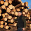 Forfatterens bilde: House of Wood