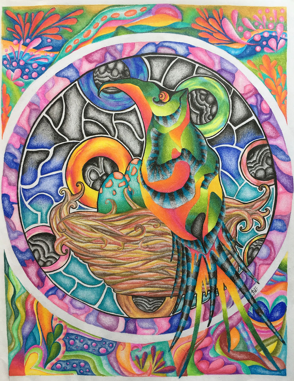 Parrotdice | Colorpencil Artist from USA| Amanda Perkins | TERAVARNA