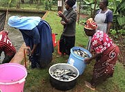 Fish_Pond_042024_4.jpg