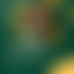 名师风采(7) 数学:Sanna老师 ,法语:Azadeh老师,Sanaz老师