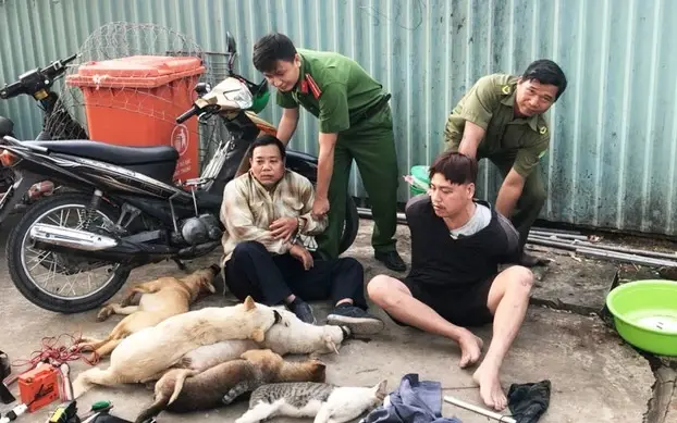 Cuddle Pet Friendly Care THỦ Đức Cuddle Contact, Spa Thú cưng Thủ Đức