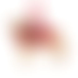 Mùa Noel Trở Nên Đáng Nhớ Với Những Bức Ảnh Cosplay Tuyệt Vời Của Thú Cưng