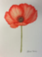 Watercolor Poppy - East Library (East Annex)