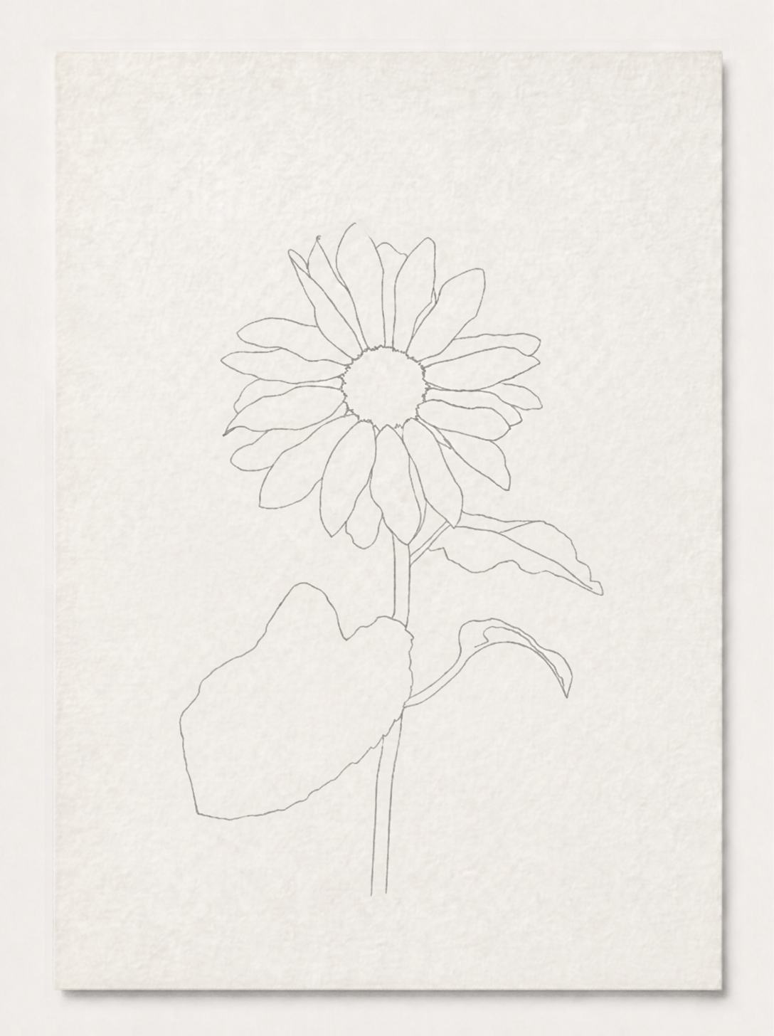 Sunflower watercolor outline on Arches 100% cotton cold-pressed paper by Mon Aimée Studio.