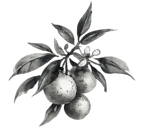 Auspicious Plants for a Meaningful Garden