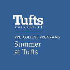 My Online Summer at Tufts