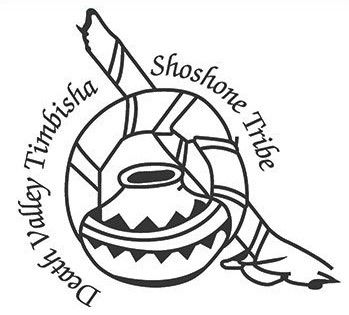 Timshiba cropped.jpg
