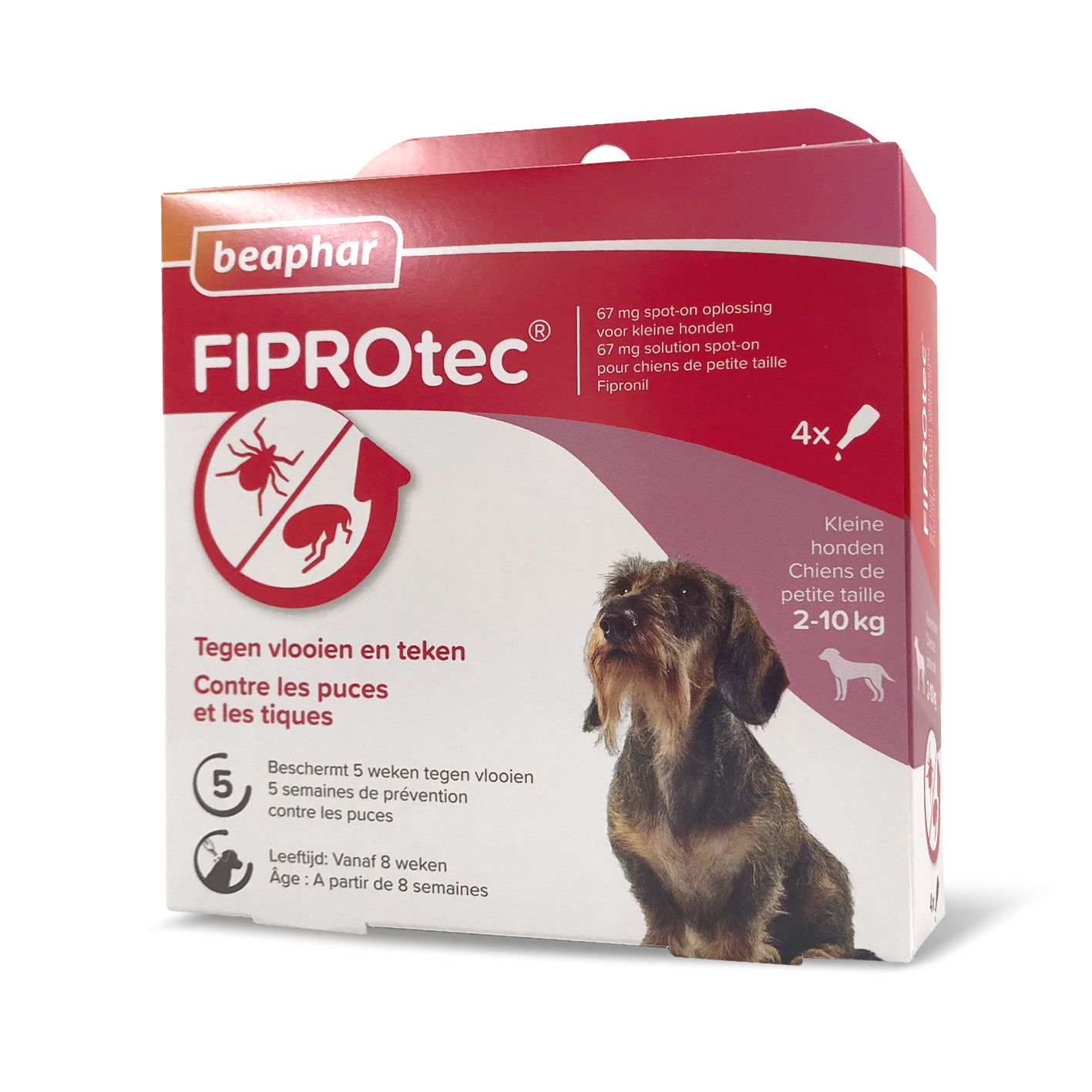 Beaphar – FIPROTEC 67 MG – Solution Spot-on pour Petits Chiens (2-10 kg)– 4 Pip