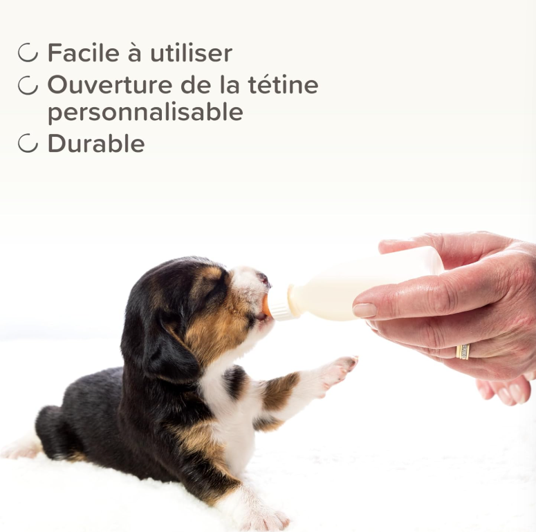 Miniature : BEAPHAR – LACTOL – Pack biberon et tétines + brosse à nettoyer pour nourrir les