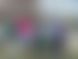 Celebrating 19 Years: GMGA Founders Tournament