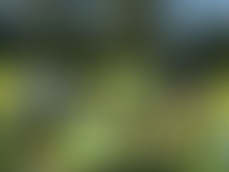 2025 GMGA Charity Classic Recap