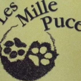 Logo toilettage_edited.jpg