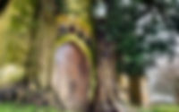 Stow-On-The-Wold.jpg
