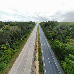 Registro de Porco espinho (Coendou prehensilis) em passagem de fauna na BR-101/AL