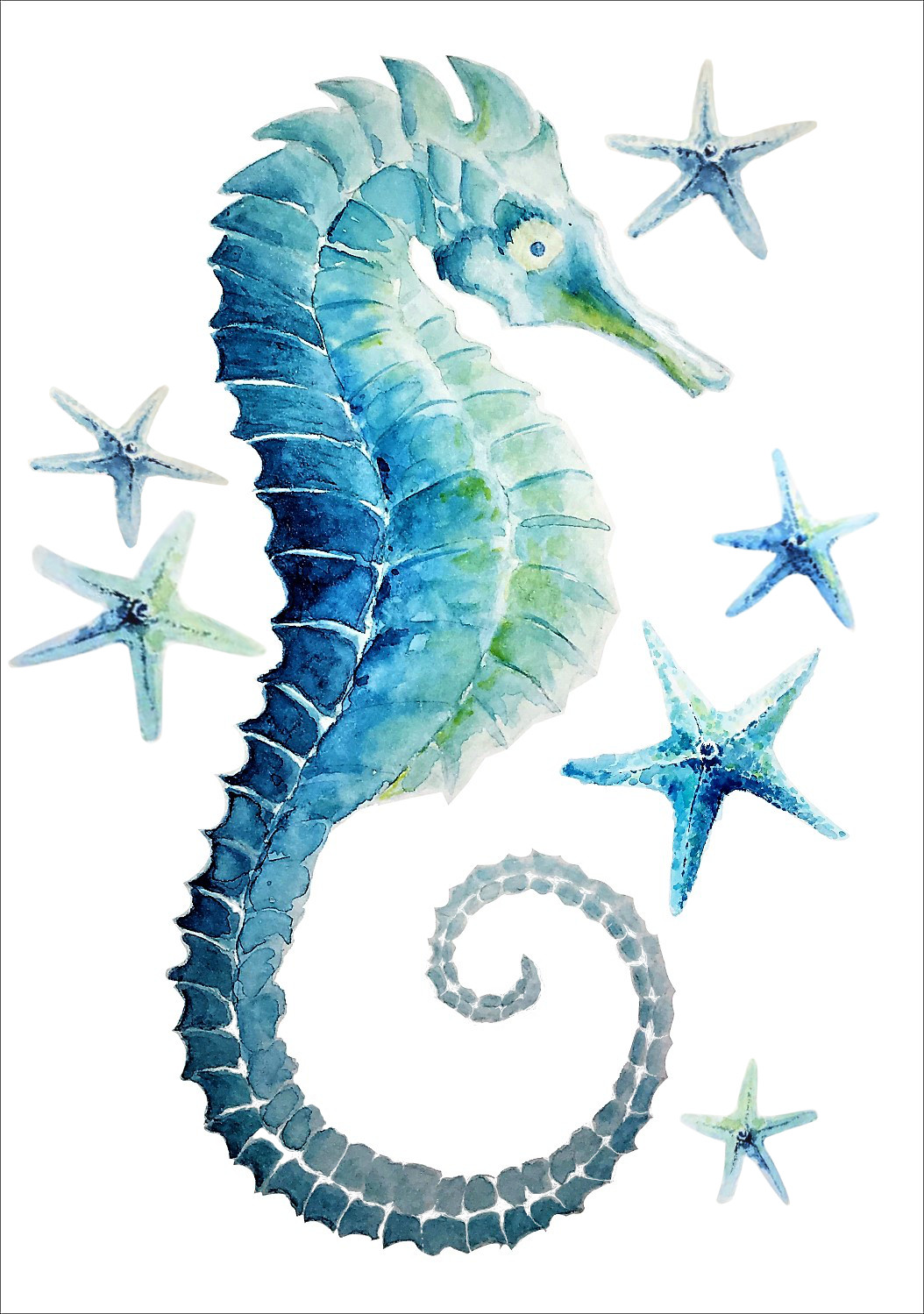 Konik morski - grafika na koszulki