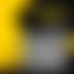 Q&A Session with Justina Distasio