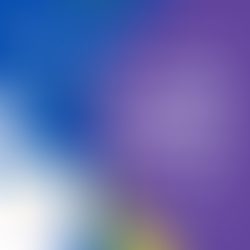 HIGH FIVE Free Virtual Coaching Training