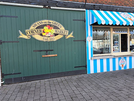 swans on the green.jpg