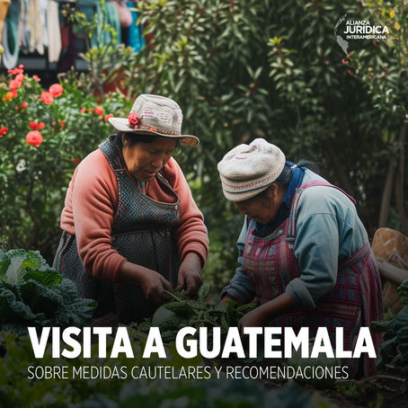 CIDH concluye visita de trabajo sobre medidas cautelares y seguimiento de recomendaciones en Guatemala