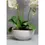 Thumbnail: Fiori White Orchid Faux Plant