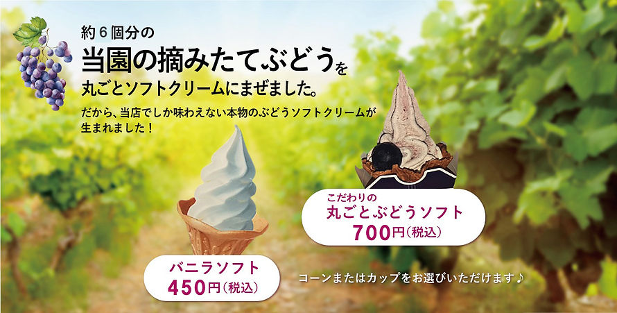 二井観光ブドウ園_ソフトクリーム.jpg