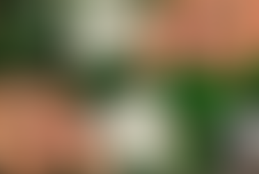 성공적인 크로스벳 사용을 위한 팁 및 전문가 조언들