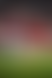 ⚽️🔥 “에미레이츠의 연말 결산 — 우승 레이스의 아스날 vs 돌풍의 아스톤빌라”아스날 vs 아스톤빌라 | 프리미어리그 초정밀 분석 & 베팅 가이드 🔥⚽️